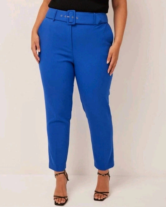 Portmans Curve Belted  Blue Pants Size 22 NEW